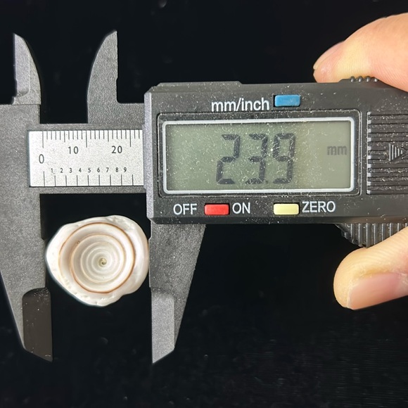 🖤Hawaii PUKA SHELL handmade ring - Picture 9 of 13